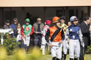 Galoppo_Chilivani_2017_ (30)